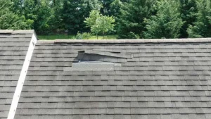 common roof failure causes